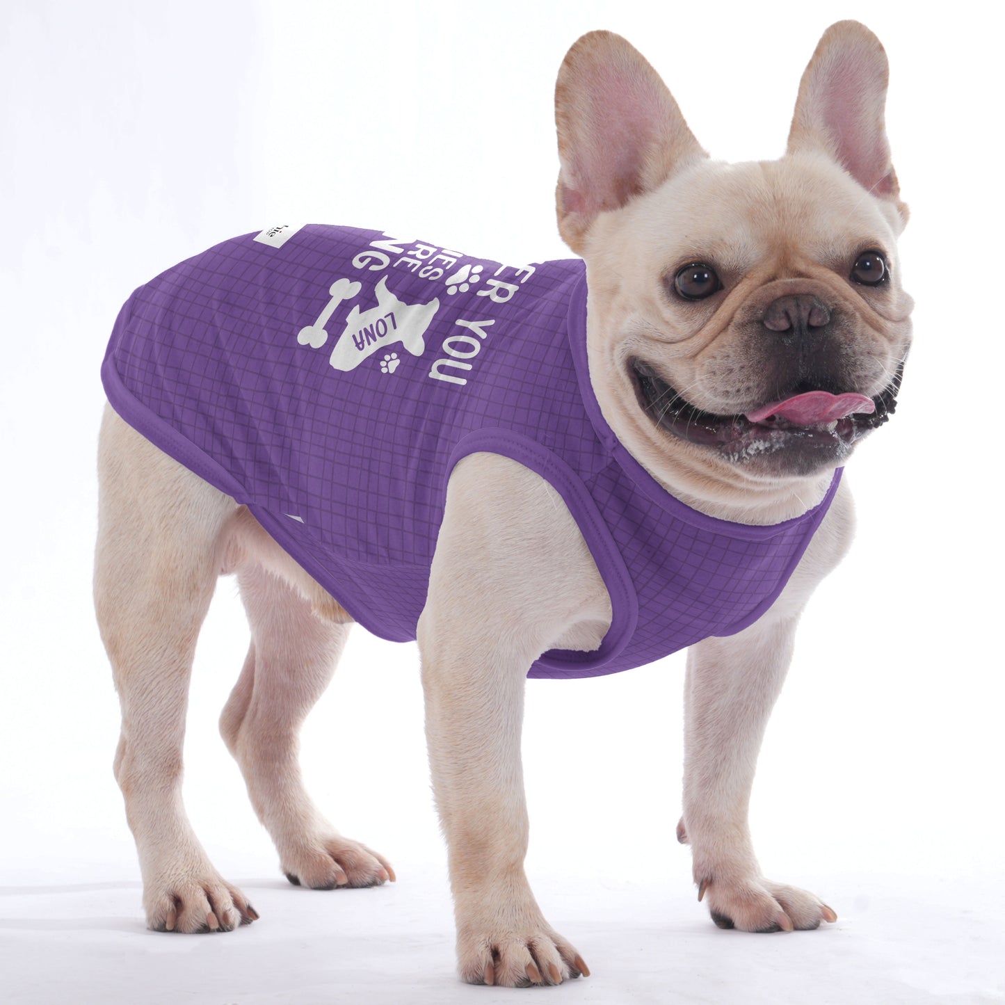 Personalized Shirt for Frenchies with Your Pup’s Name - Frenchie Shop Original