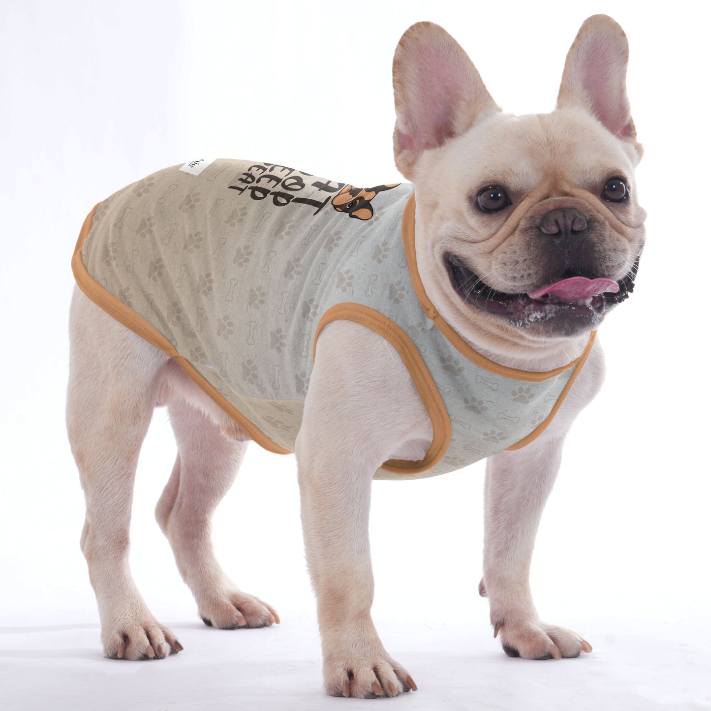 Orson -  Shirt for Frenchies - Frenchie Shop Original