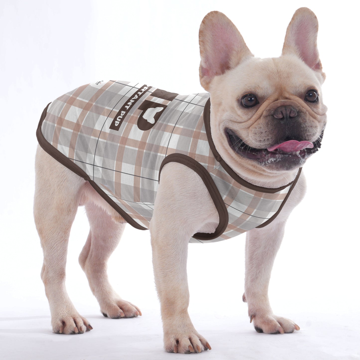 Quincy -  Shirt for Frenchies - Frenchie Shop Original