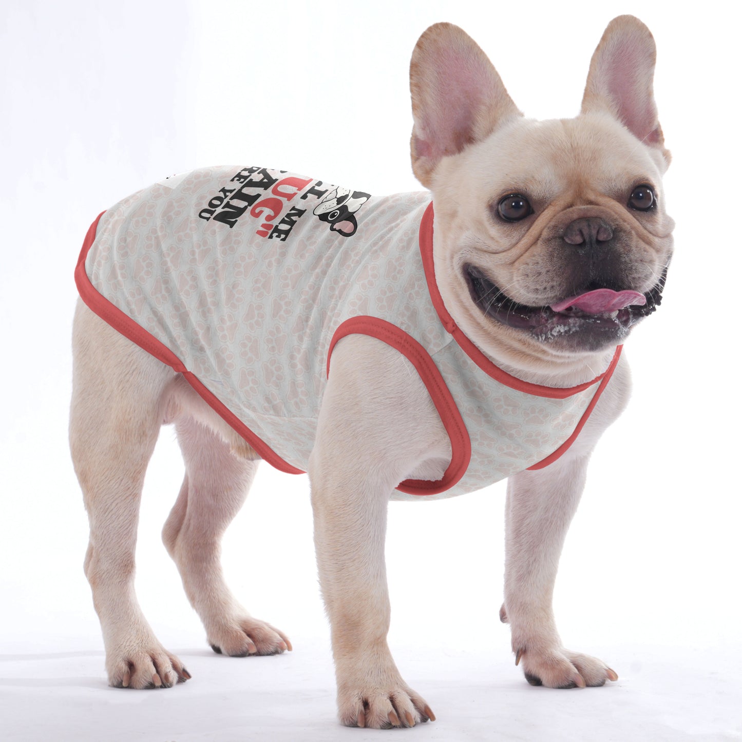 Soot  -  Shirt for Frenchies - Frenchie Shop Original