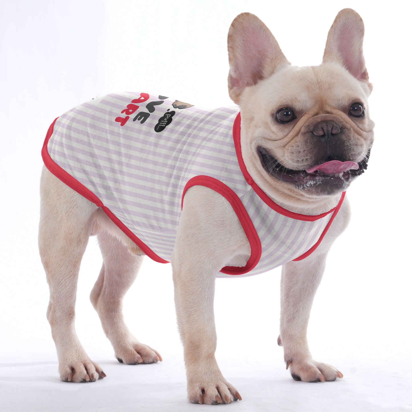 Mansel -  Shirt for Frenchies - Frenchie Shop Original