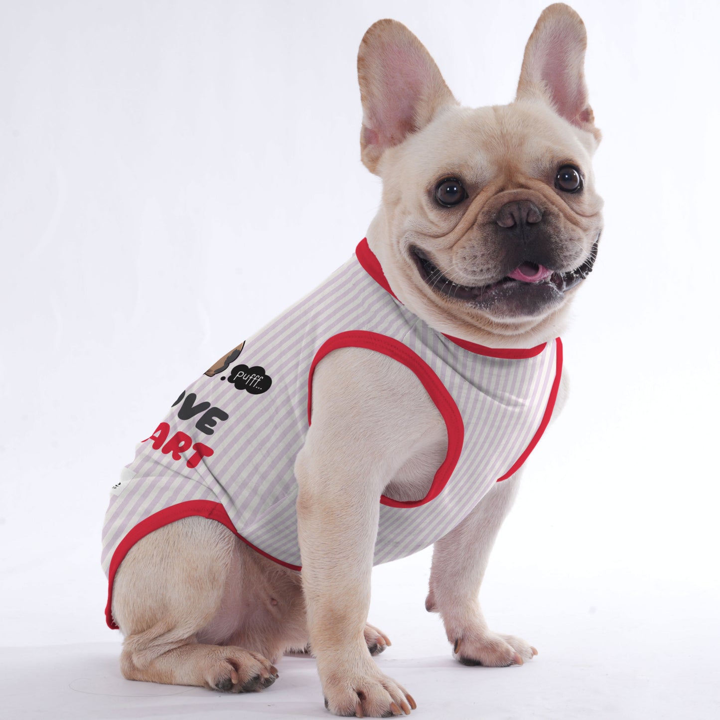 Mansel -  Shirt for Frenchies - Frenchie Shop Original