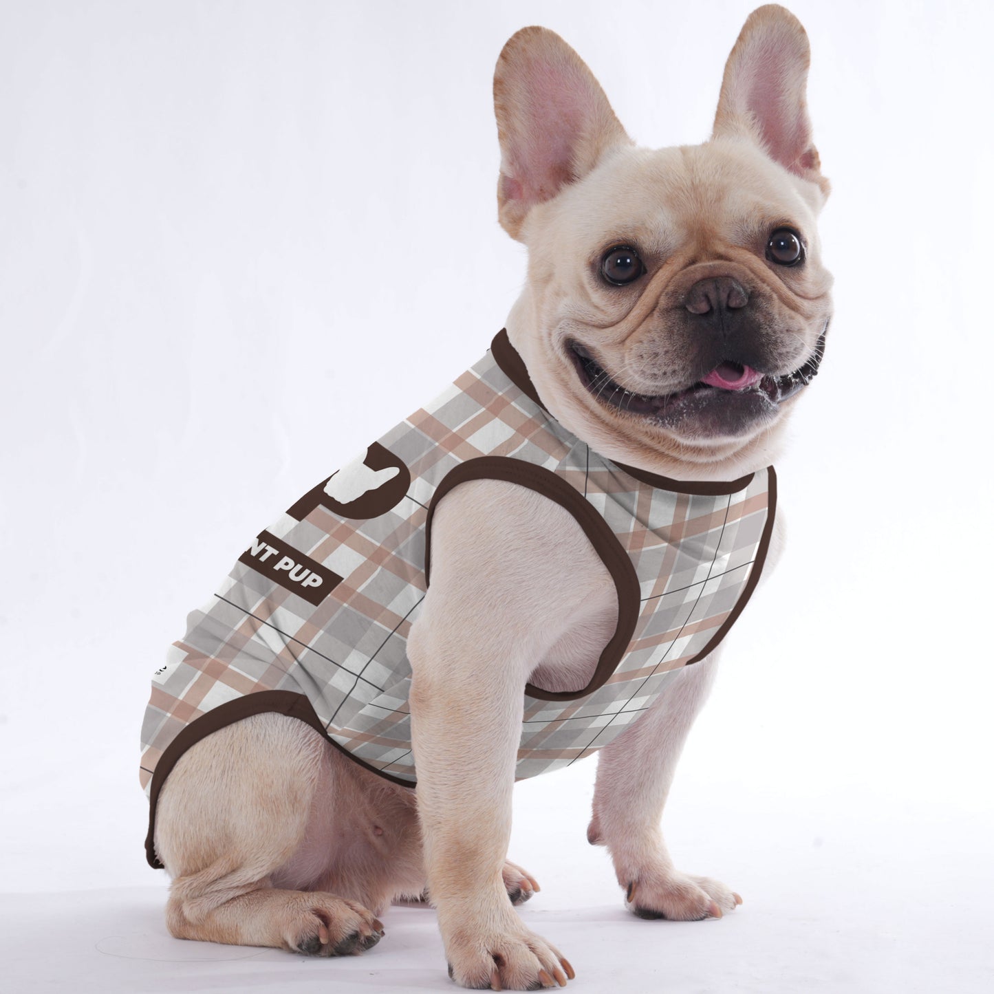 Quincy -  Shirt for Frenchies - Frenchie Shop Original