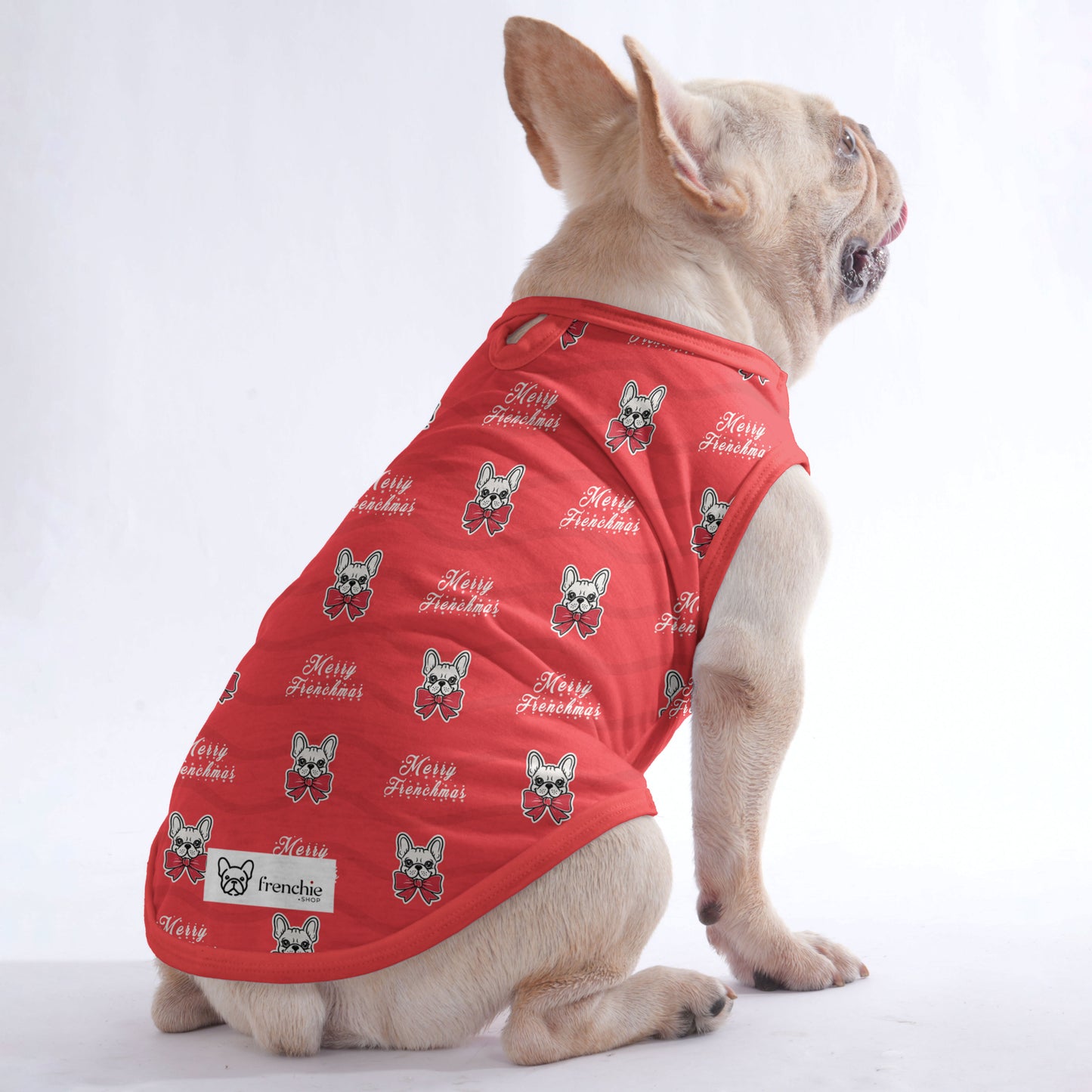 Elektra -  Shirt for Frenchies - Frenchie Shop Original