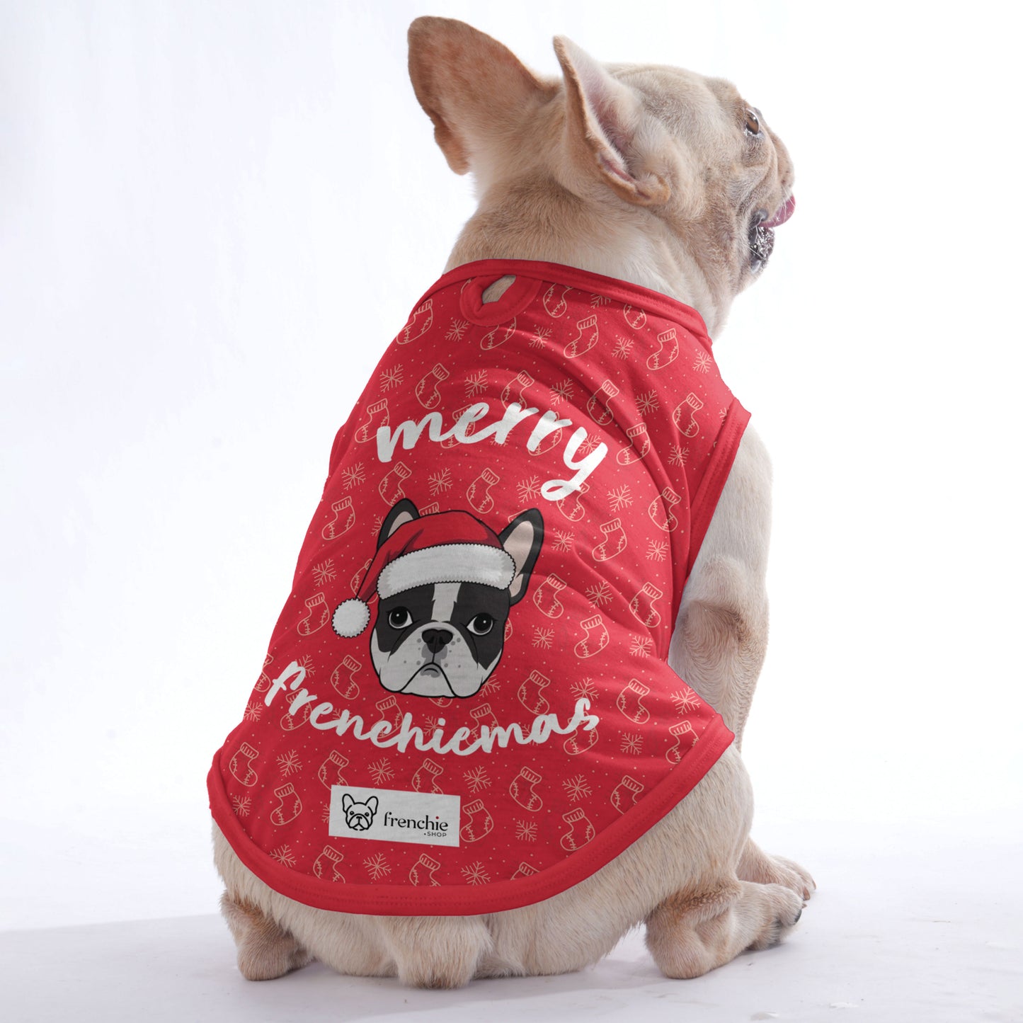 Velvet -  Shirt for Frenchies - Frenchie Shop Original