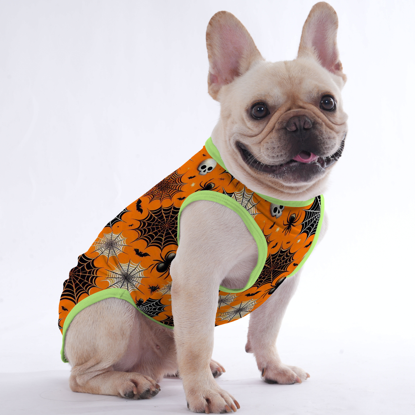 Spider -  Shirt for Frenchies - Frenchie Shop Original