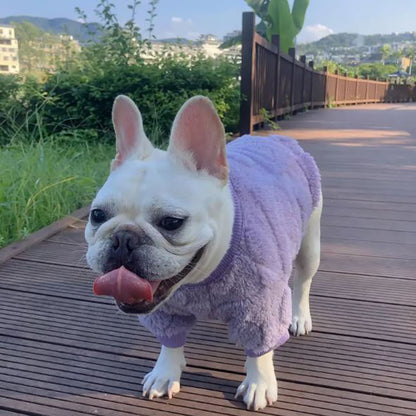 SnugPaws-Frenchie-Winter-Sweater-Plush-Dog-Apparel-www.frenchie.shop