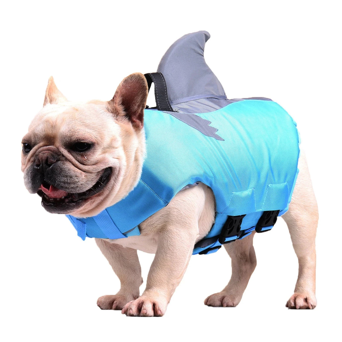 Frenchie Shark Life Vest Summer Reflective Swimwear - Frenchie Bulldog Shop