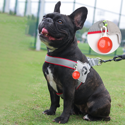 LightLatch No pull Frenchie Reflective Harness