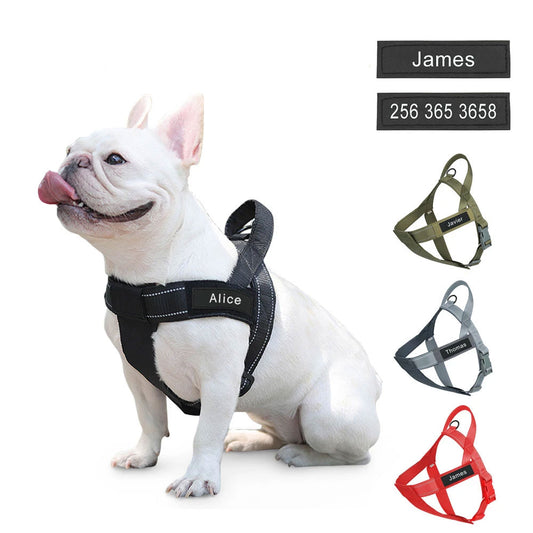 Frenchie Strap Harness - Camp Frenchie | Frenchie Bulldog | French Bulldog Accessories & Apparel