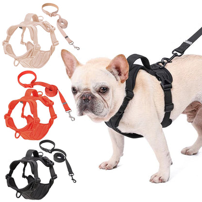 WalkEase-Frenchie-Comfort-Leash-Vest-Walking-Harness-www.Frenchie.shop