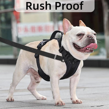 WalkEase-Frenchie-Comfort-Leash-Vest-Walking-Harness-www.Frenchie.shop