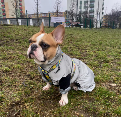 WetPaw-Frenchie-Rain-Jacket-Reflective-Hoddie-www.frenchie.shop