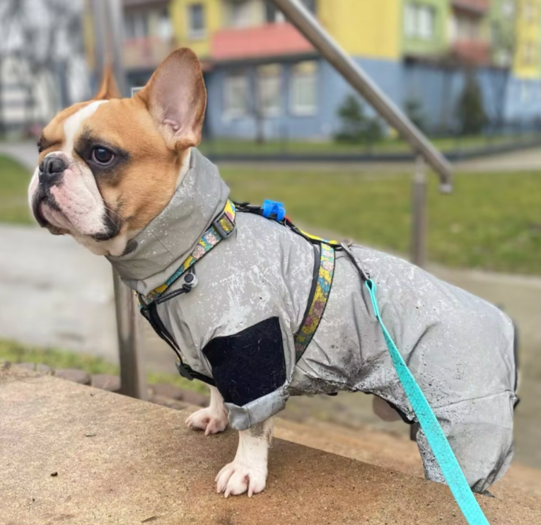 WetPaw-Frenchie-Rain-Jacket-Reflective-Hoddie-www.frenchie.shop