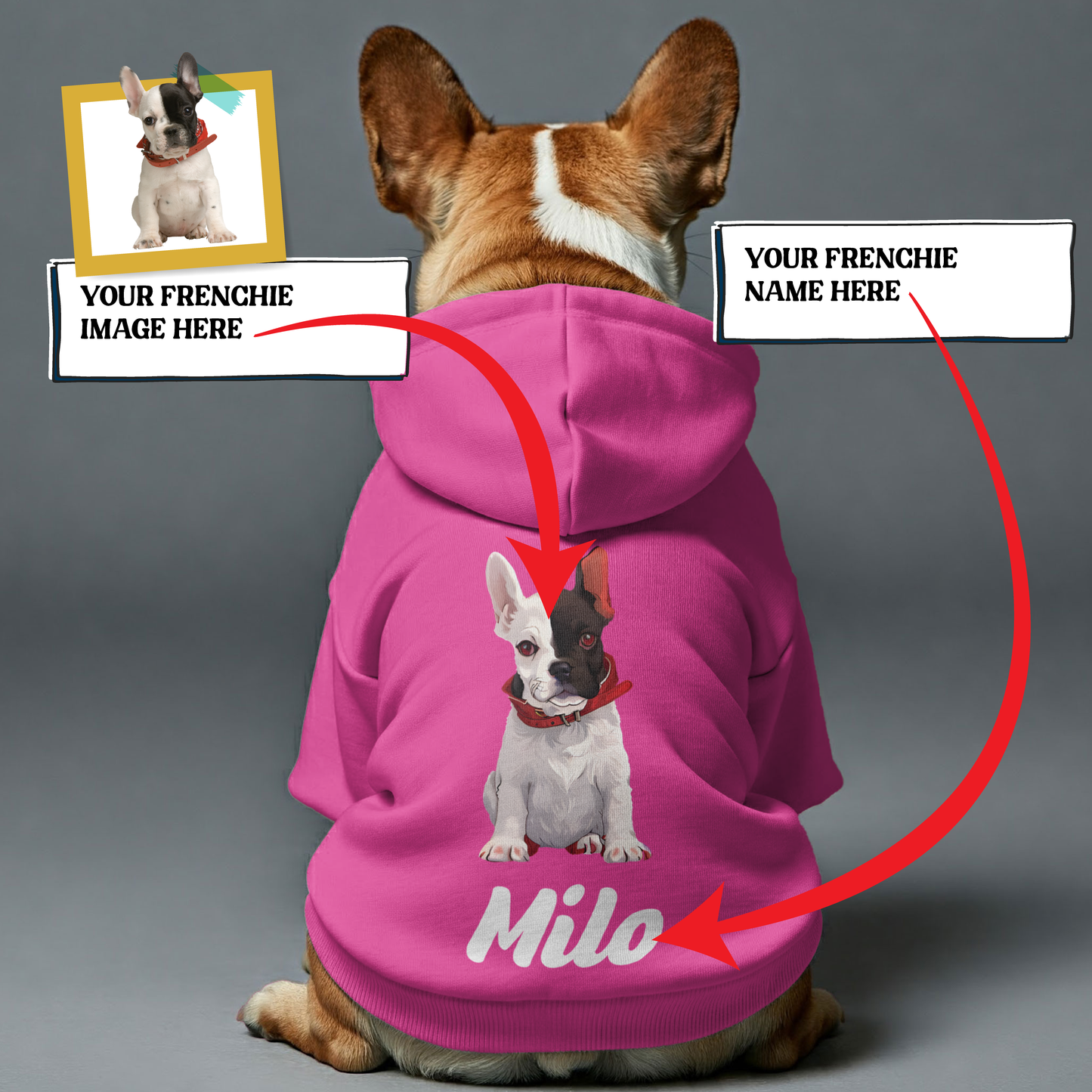 Personalized French Bulldog Hoodies with Funny Quotes, Custom Name, and Custom Image – Stylish, Cozy, and Premium 100% Cotton