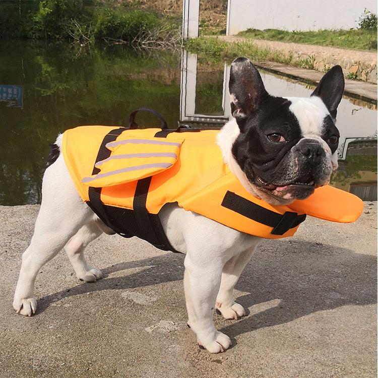 FloatPro French Bulldog Life Swimming Vest frenchie Shop