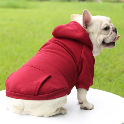 SnugTail-French-Bulldog-Sweater-Sports-Style-Pet-Clothes-www.frenchie.shop