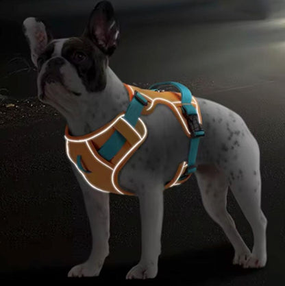 GlowSafe No Pull Frenchie Harness Reflective Training Vest