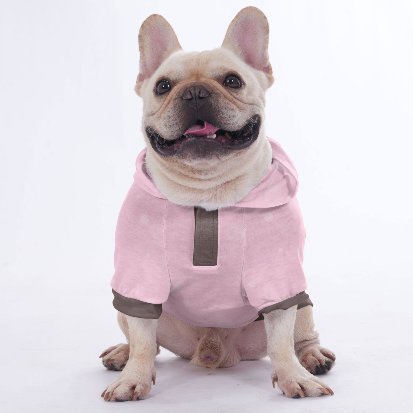 Feed me treats and call me handsome - Hoodies for French Bulldog  | Frenchie Shop Original