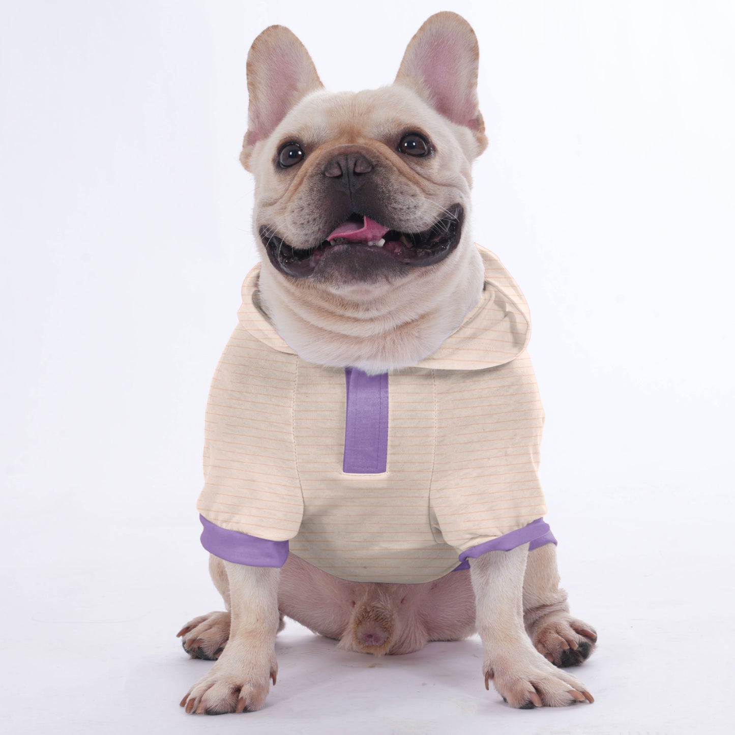 Florenz - Hoodies for French Bulldog  | Frenchie Shop Original