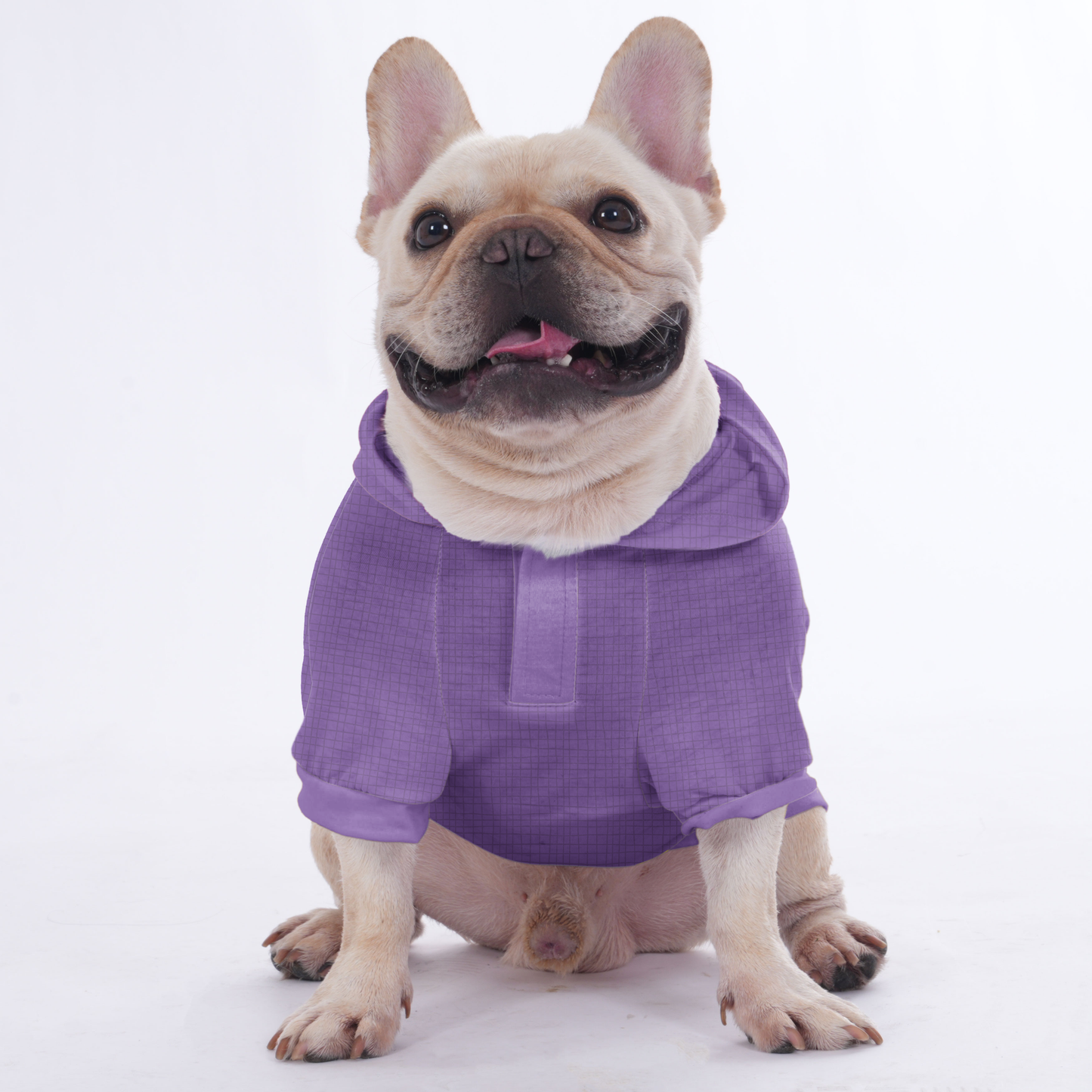 Custom Hoodies for French Bulldogs with the Owner's Name  | Frenchie Shop Original