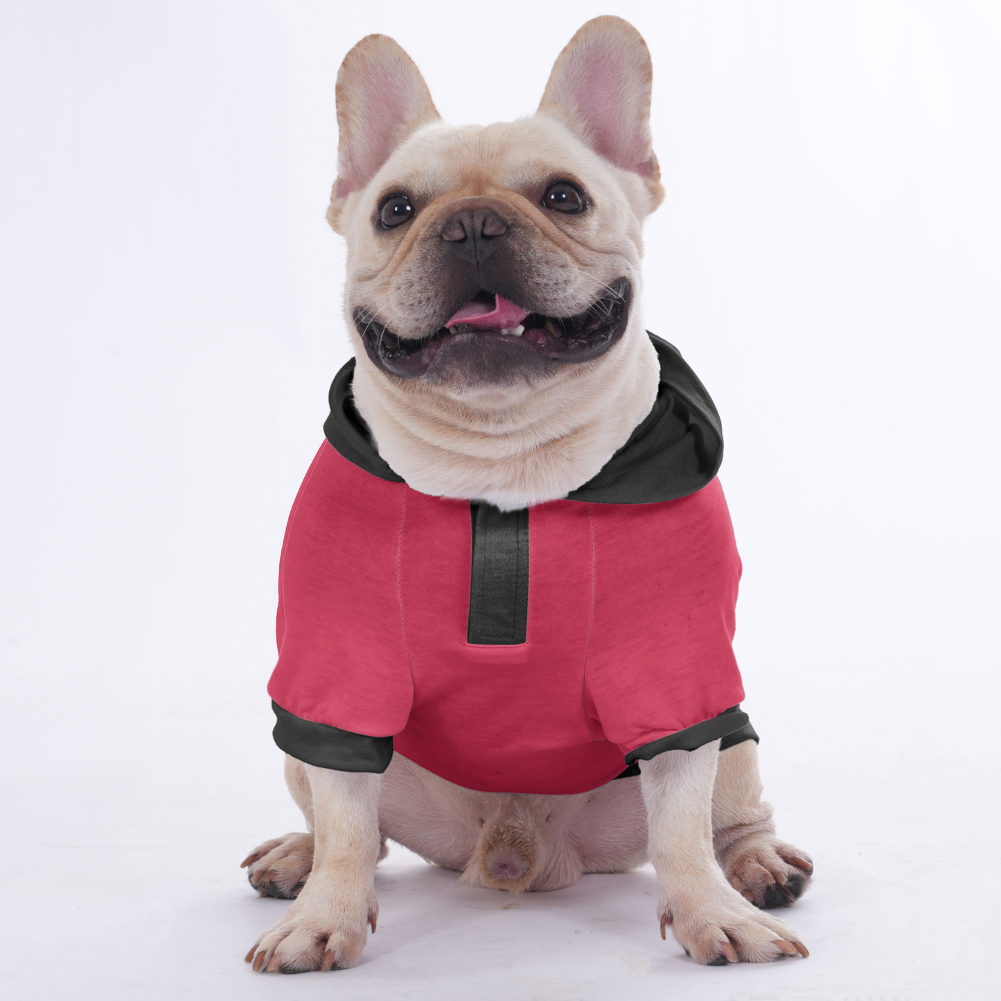 Customizable French Bulldog Hoodies with Your Pet’s Name & Number | Frenchie Shop Original