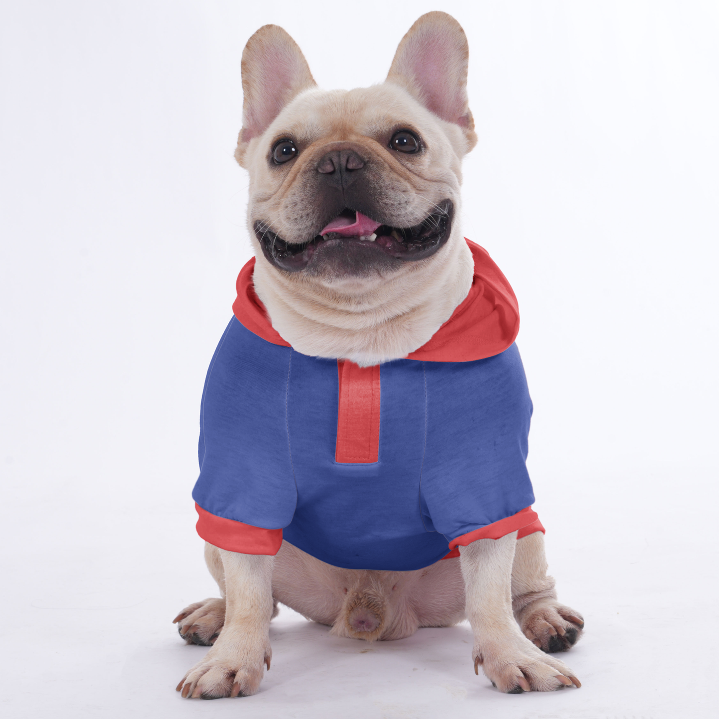 Customized French Bulldog Hoodies Highlighting Your Dog’s Photo and Name  | Frenchie Shop Original