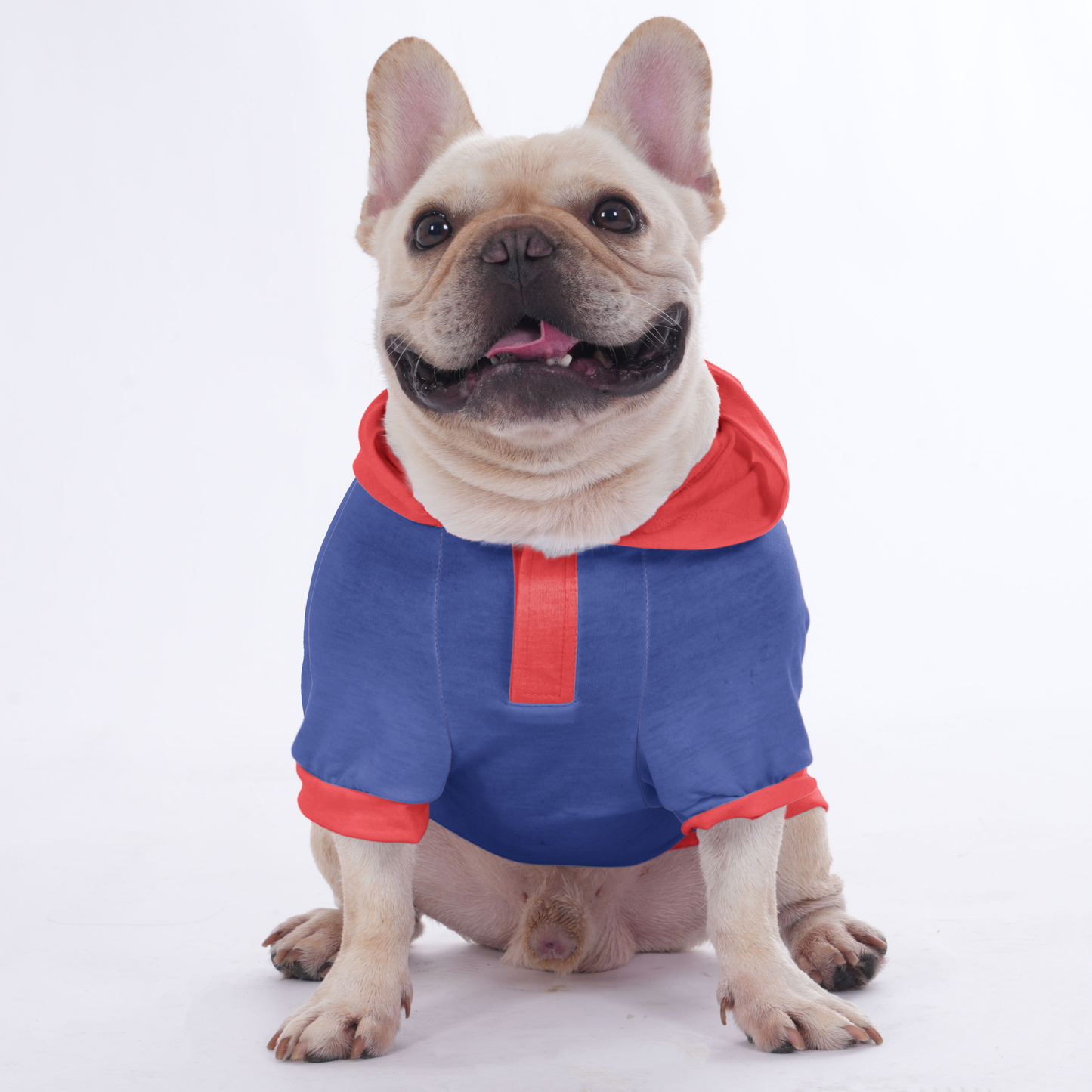 Custom French Bulldog Hoodies Showcasing Your Dog’s Photo and Name  | Frenchie Shop Original