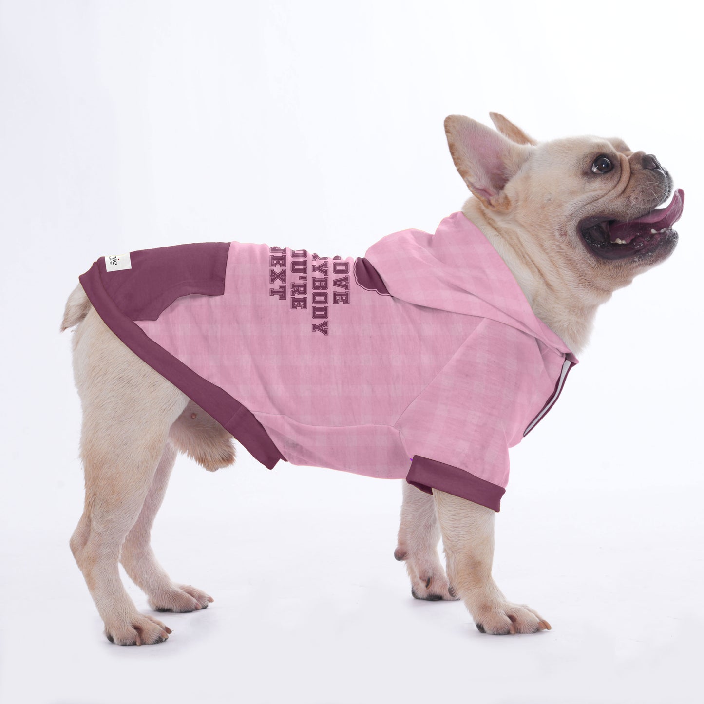 Ames - Hoodies for French Bulldog  | Frenchie Shop Original