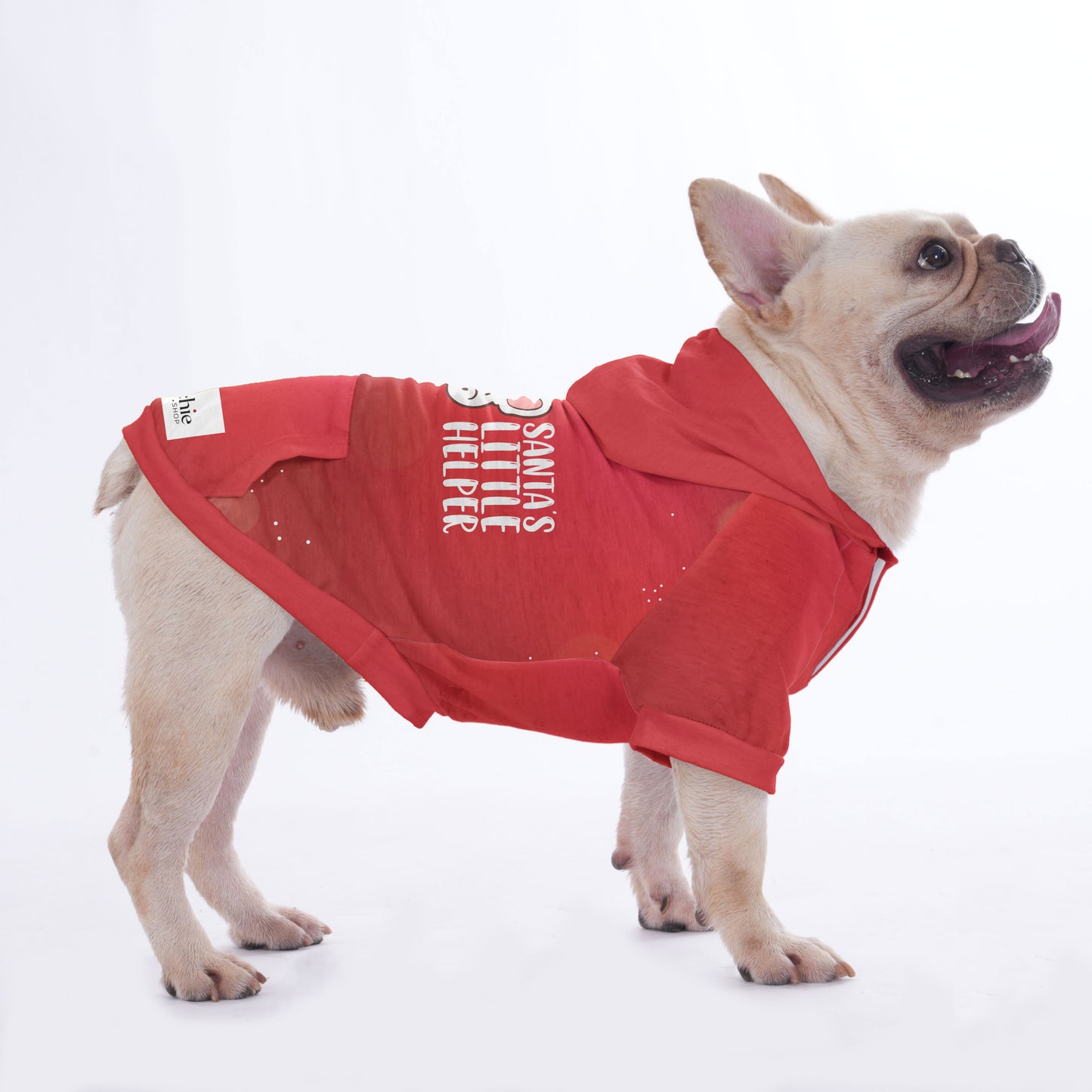 Blu - Hoodies for French Bulldog  | Frenchie Shop Original