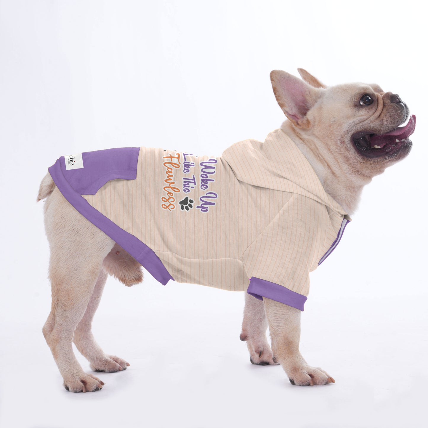 Florenz - Hoodies for French Bulldog  | Frenchie Shop Original