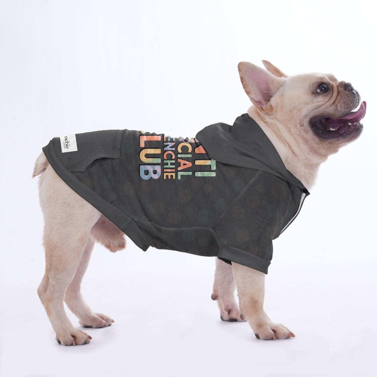 Anti social frenchie club - Hoodies for French Bulldog  | Frenchie Shop Original