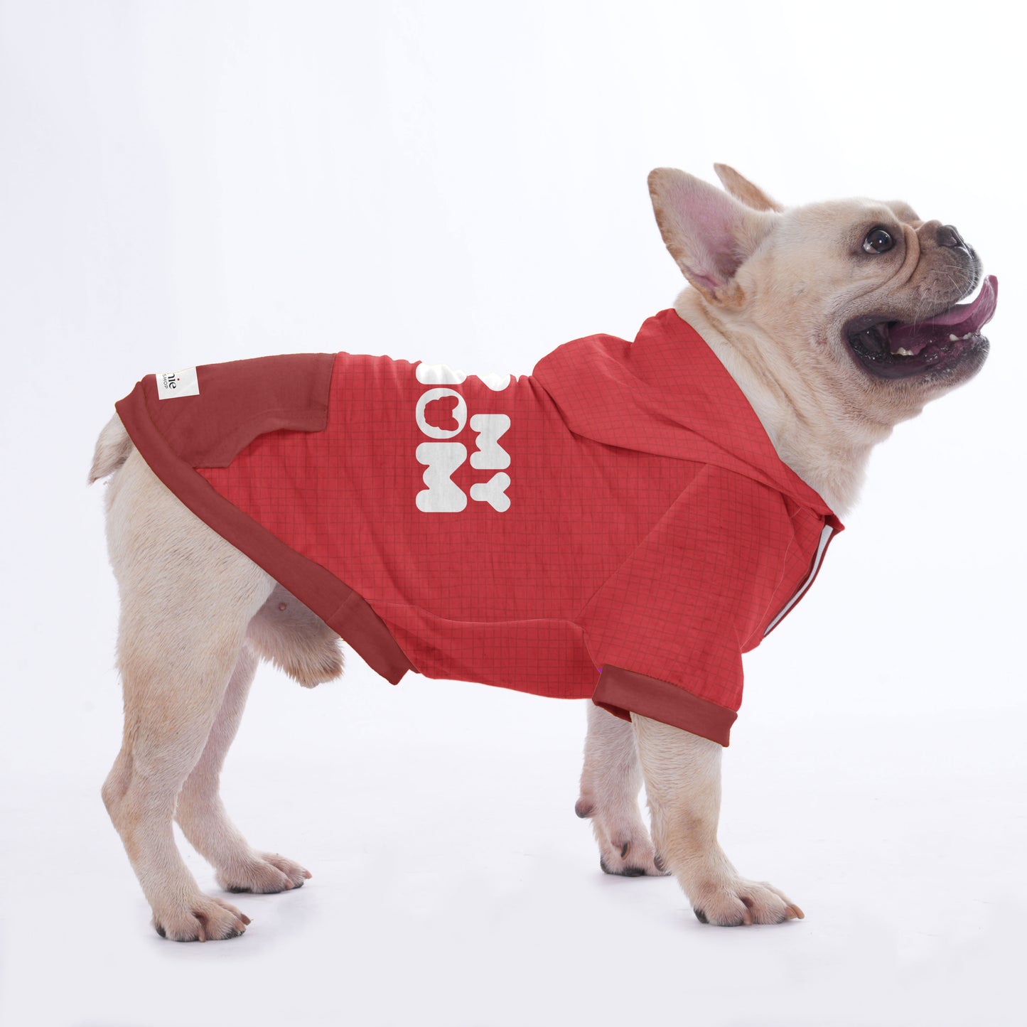 Dove  - Hoodies for French Bulldog  | Frenchie Shop Original