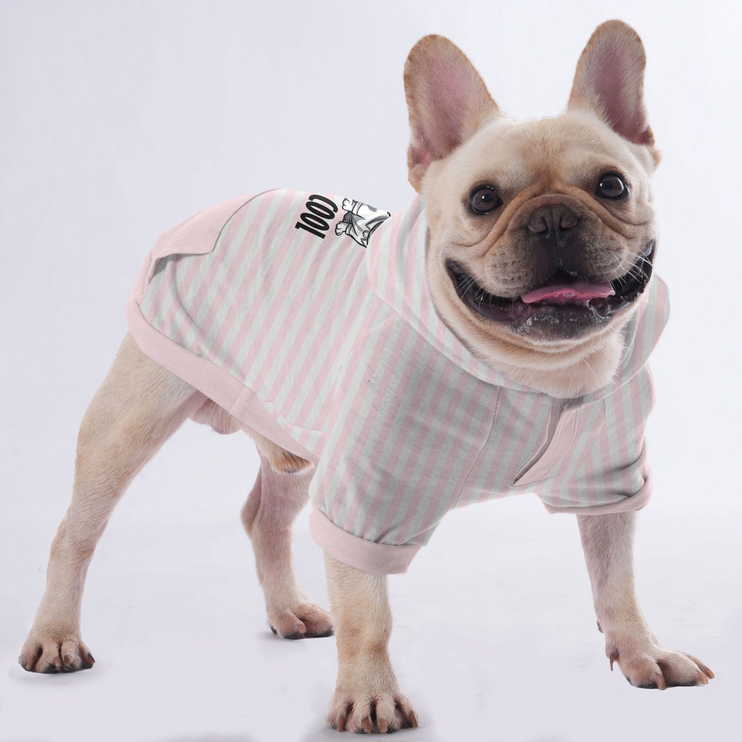 Waffle- Hoodies for French Bulldog  | Frenchie Shop Original