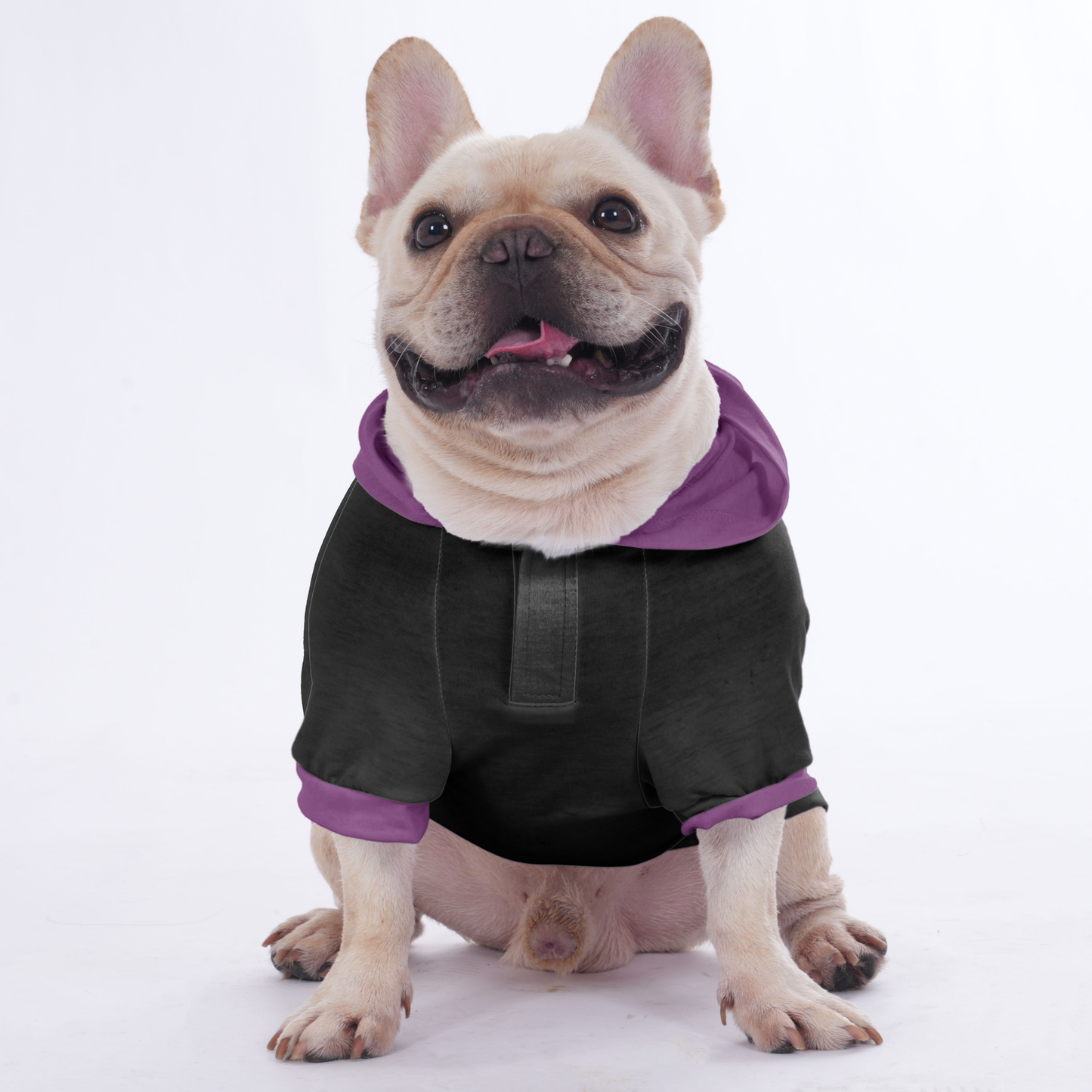 Sadie - Hoodies for French Bulldog  | Frenchie Shop Original