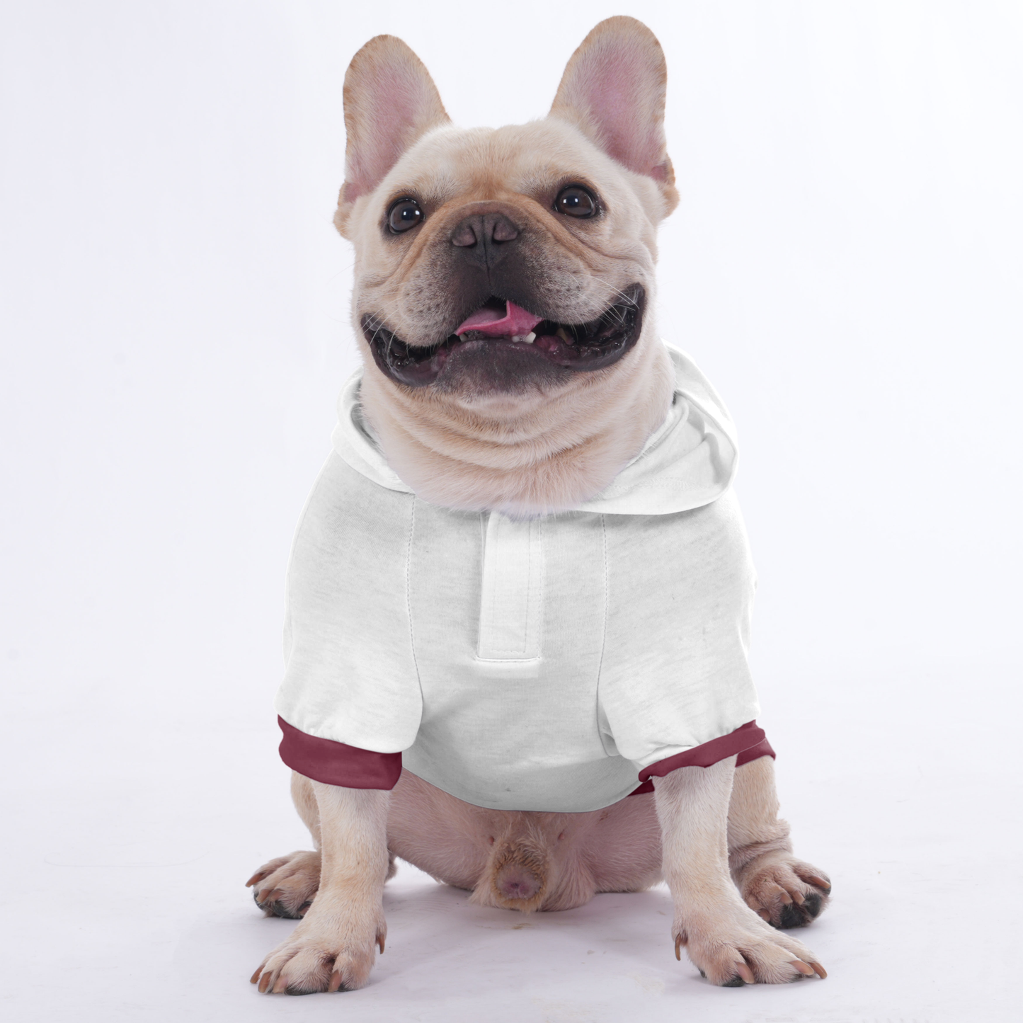 Marley - Hoodies for French Bulldog  | Frenchie Shop Original