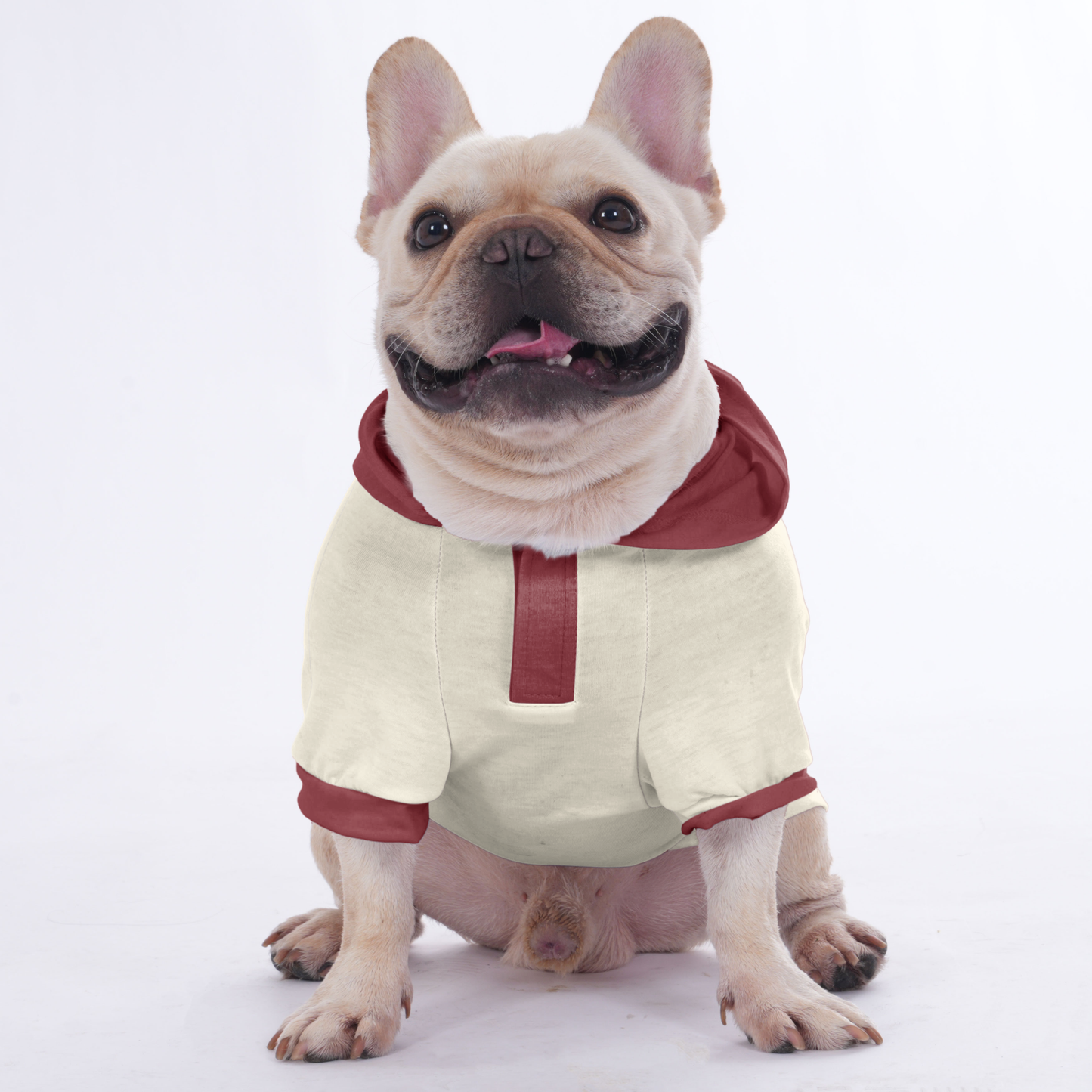 Sissy - Hoodies for French Bulldog  | Frenchie Shop Original