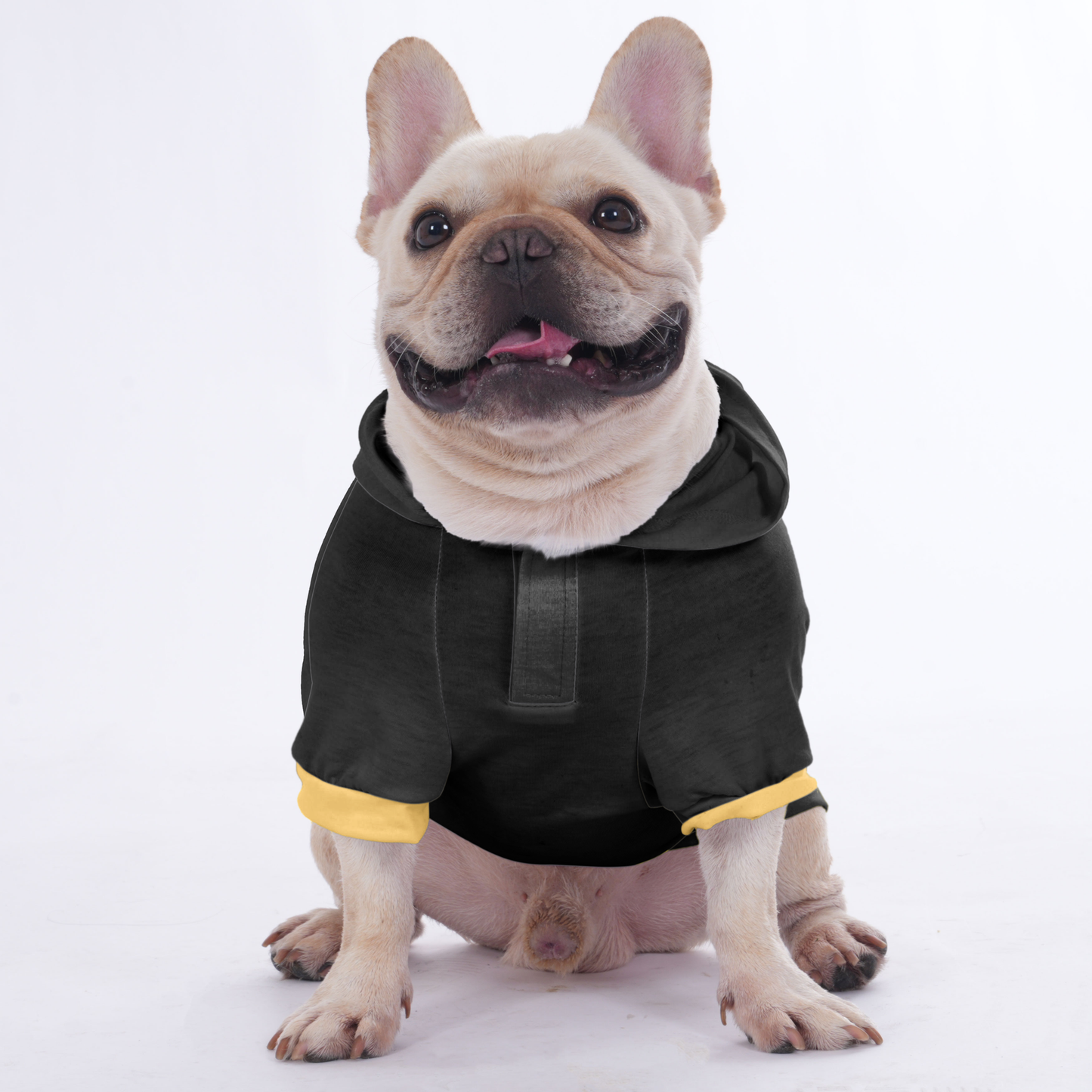 Izzy - Hoodies for French Bulldog  | Frenchie Shop Original