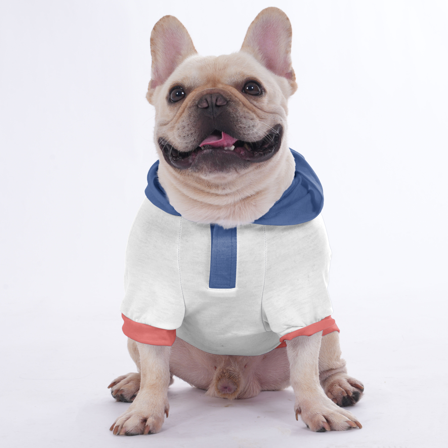 Petey - Hoodies for French Bulldog  | Frenchie Shop Original