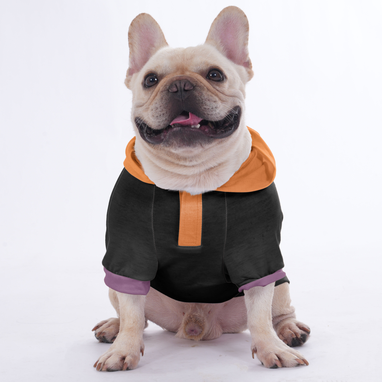 CiCi - Halloween Hoodies for French Bulldog  | Frenchie Shop Original