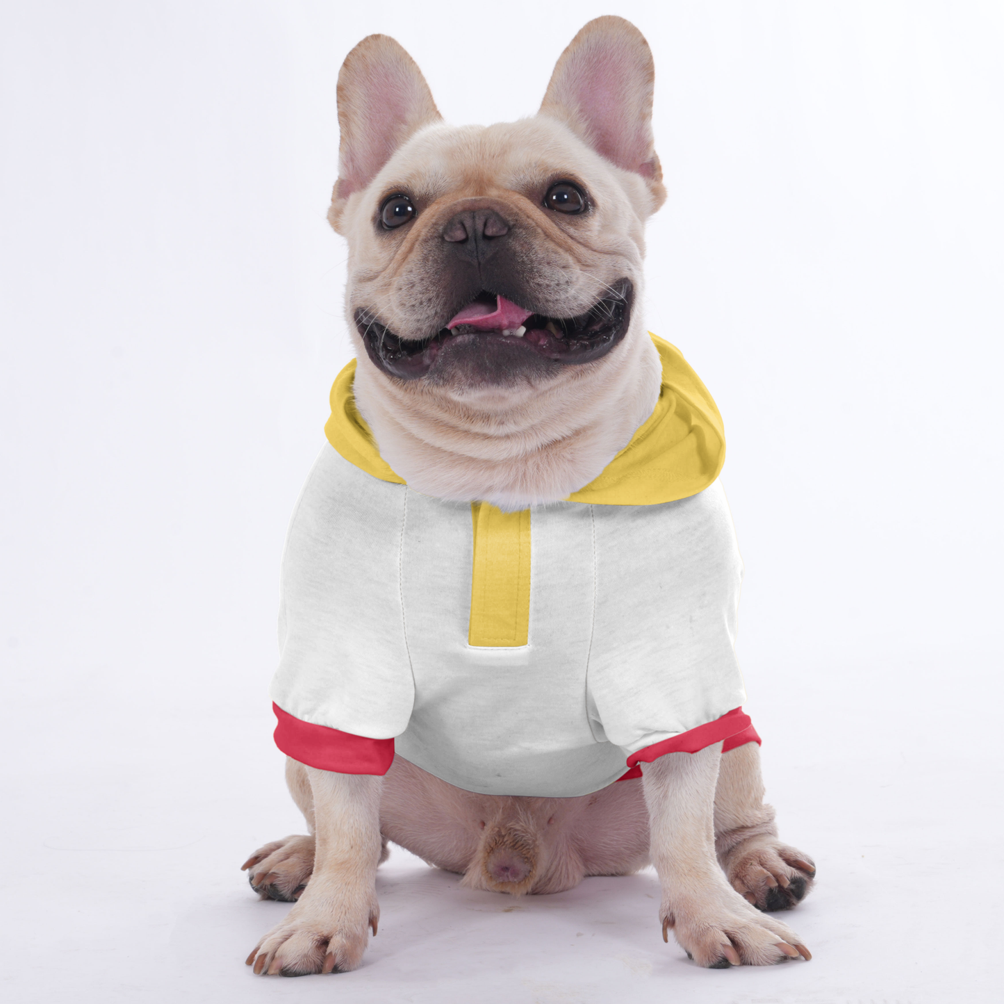 Penny - Hoodies for French Bulldog  | Frenchie Shop Original