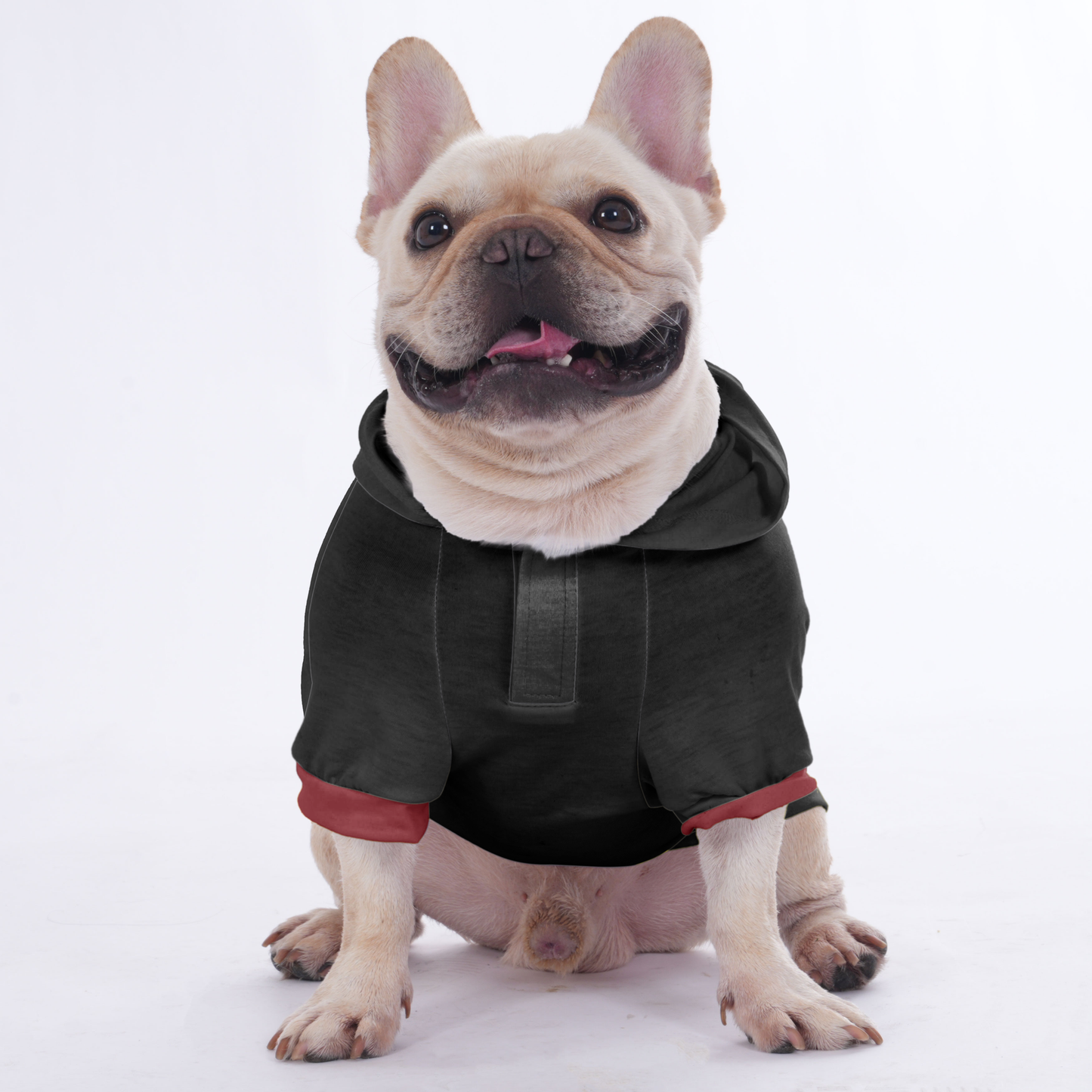 Honey - Hoodies for French Bulldog  | Frenchie Shop Original