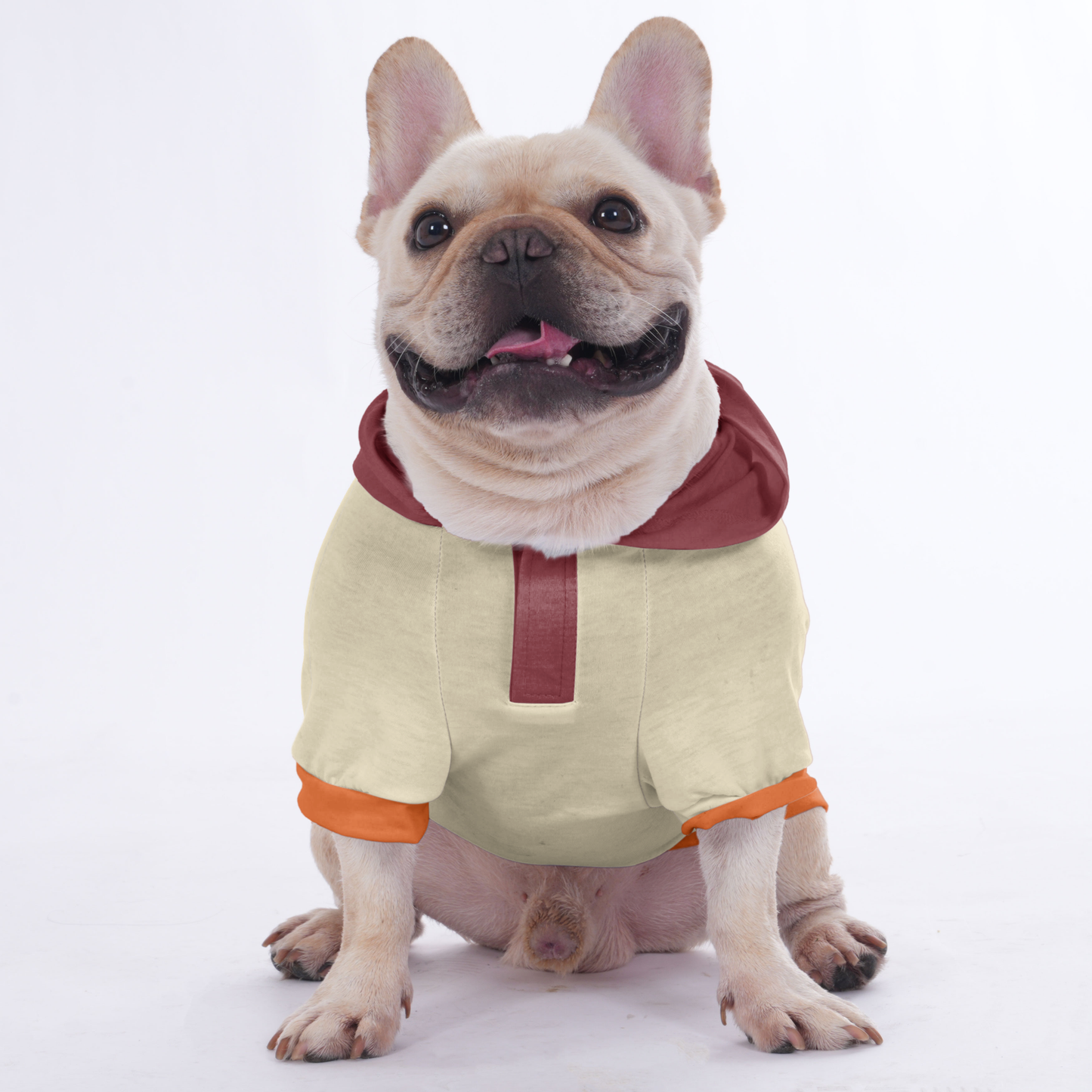 Frankie - Hoodies for French Bulldog  | Frenchie Shop Original