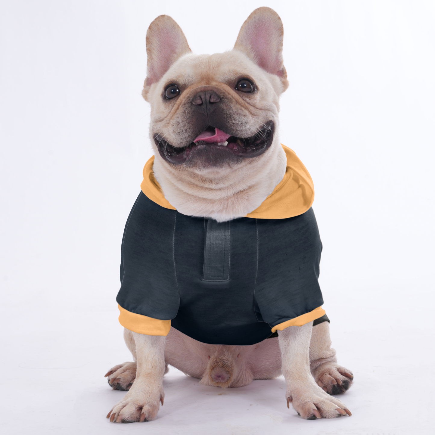 The Frenchie town - Hoodies for French Bulldog  | Frenchie Shop Original