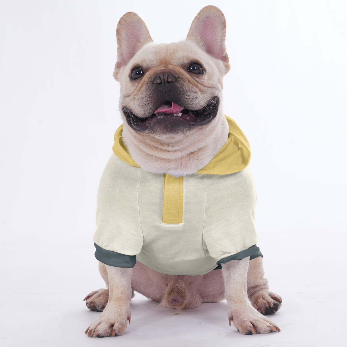 Shelby - Hoodies for French Bulldog  | Frenchie Shop Original