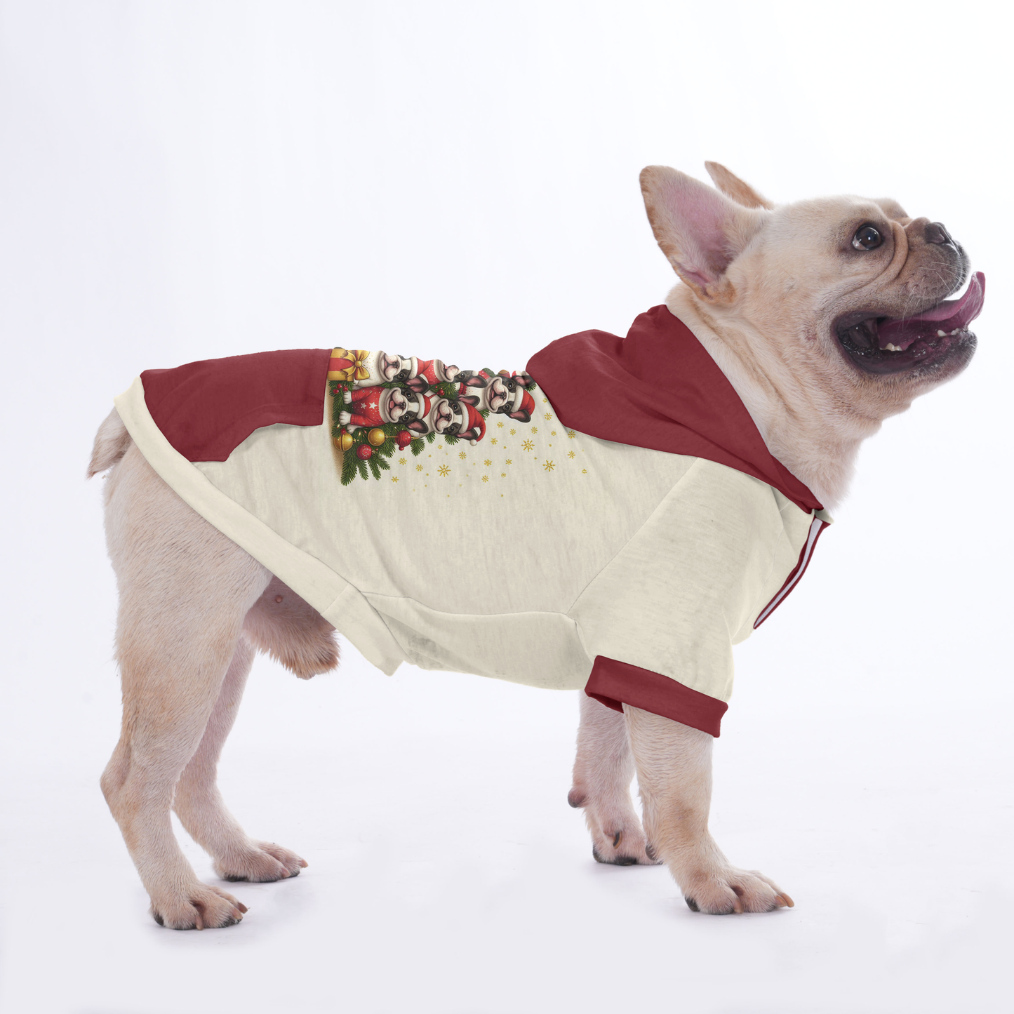 Sissy - Hoodies for French Bulldog  | Frenchie Shop Original