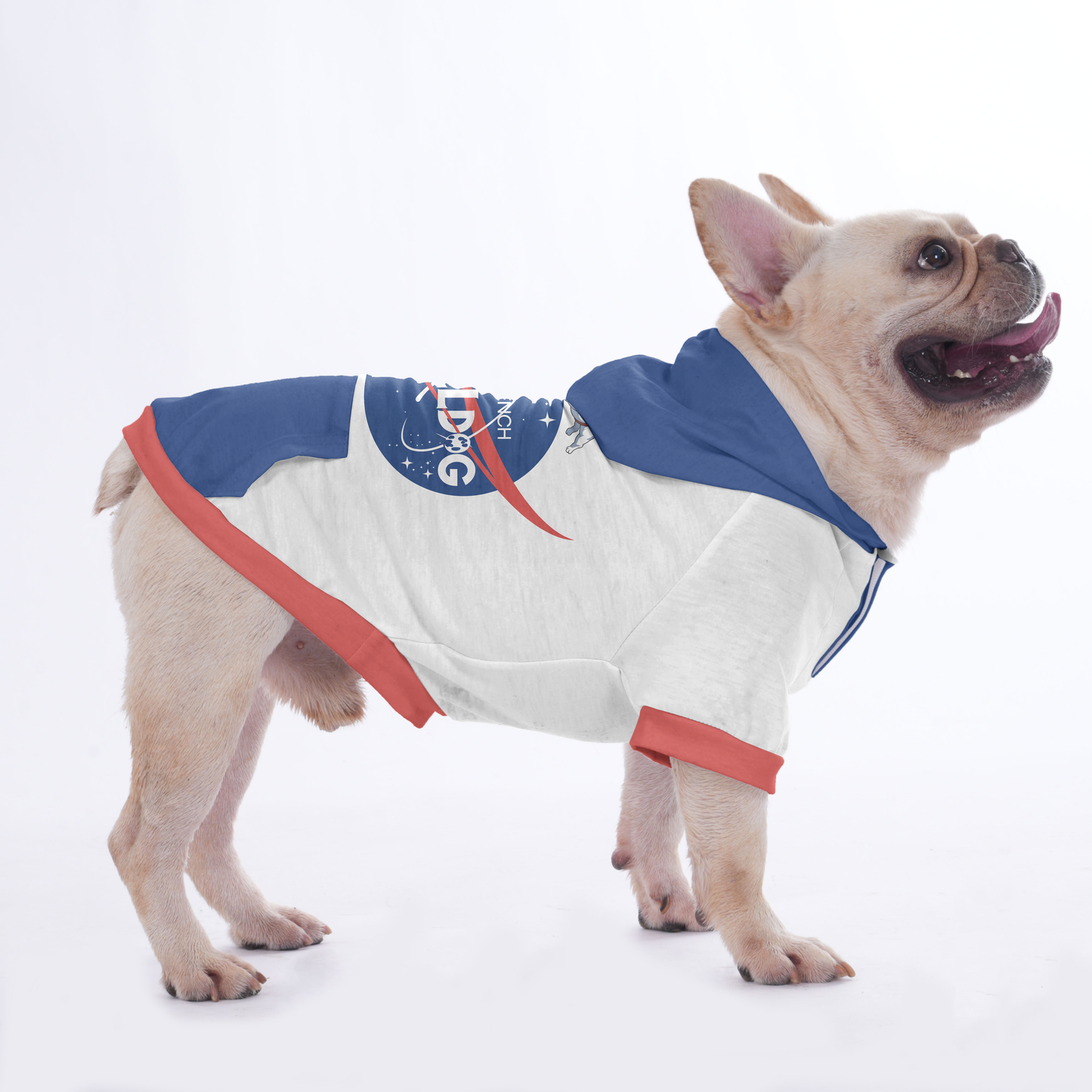 Petey - Hoodies for French Bulldog  | Frenchie Shop Original