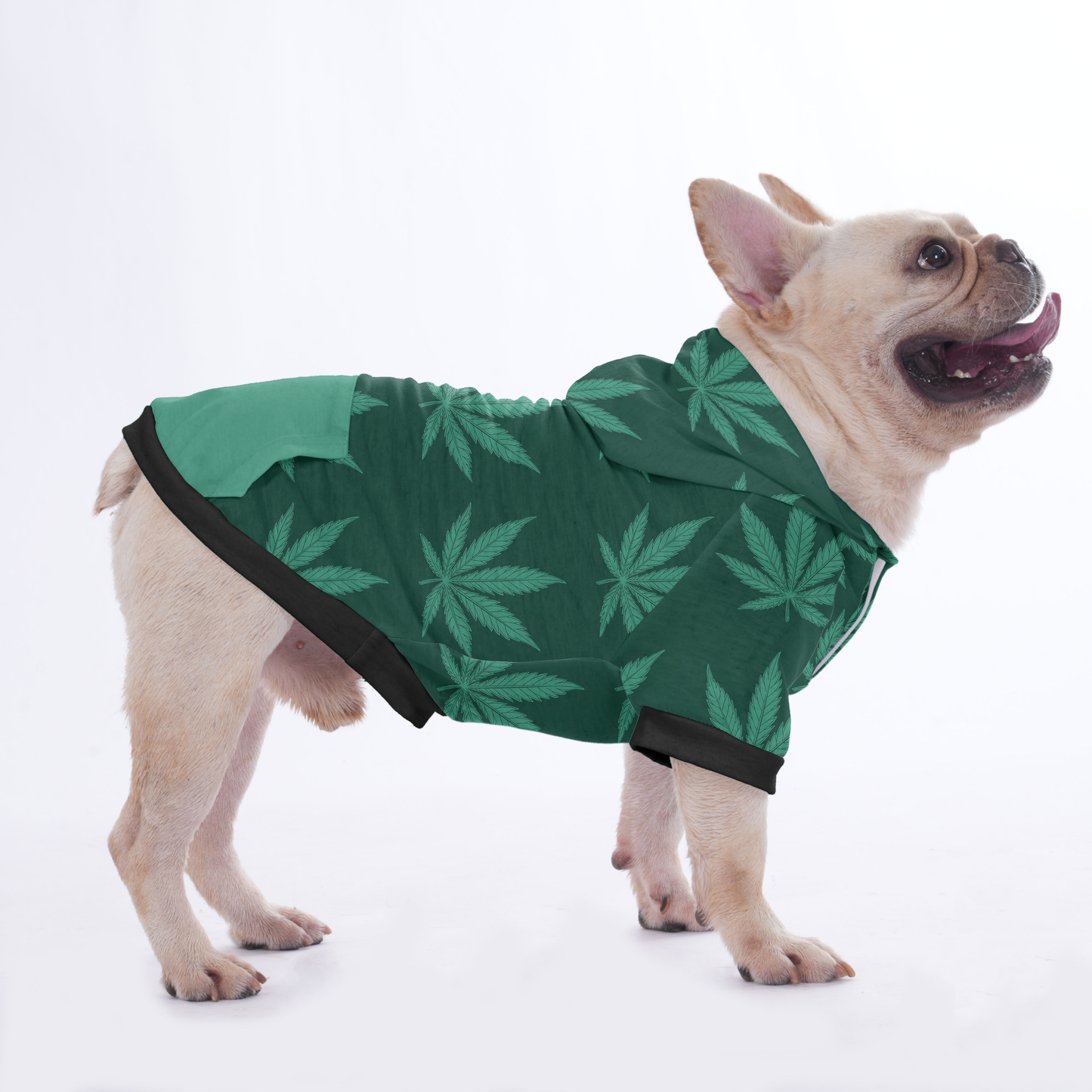 Toby - Hoodies for French Bulldog  | Frenchie Shop Original