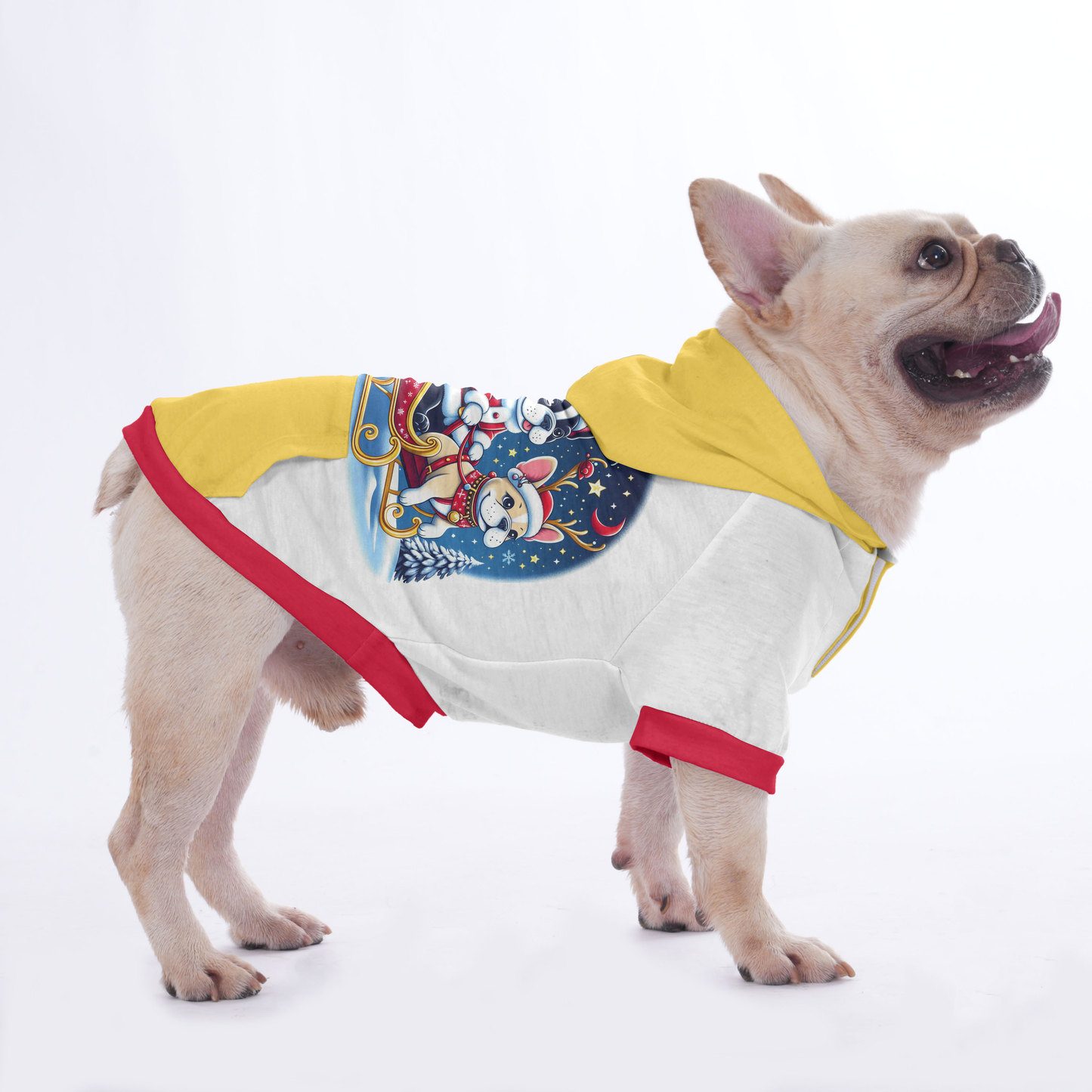 Penny - Hoodies for French Bulldog  | Frenchie Shop Original