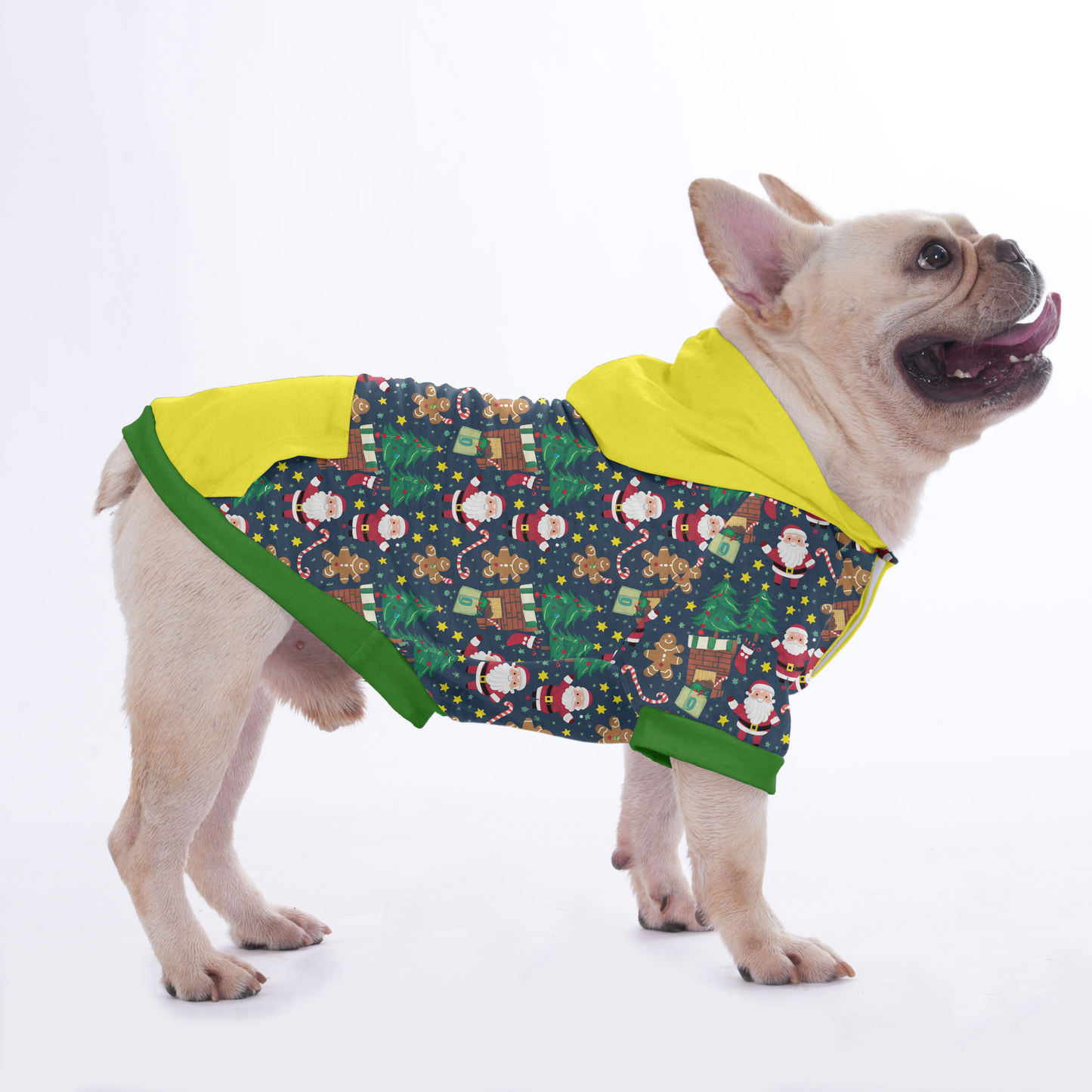 Paquito - Hoodies for French Bulldog  | Frenchie Shop Original